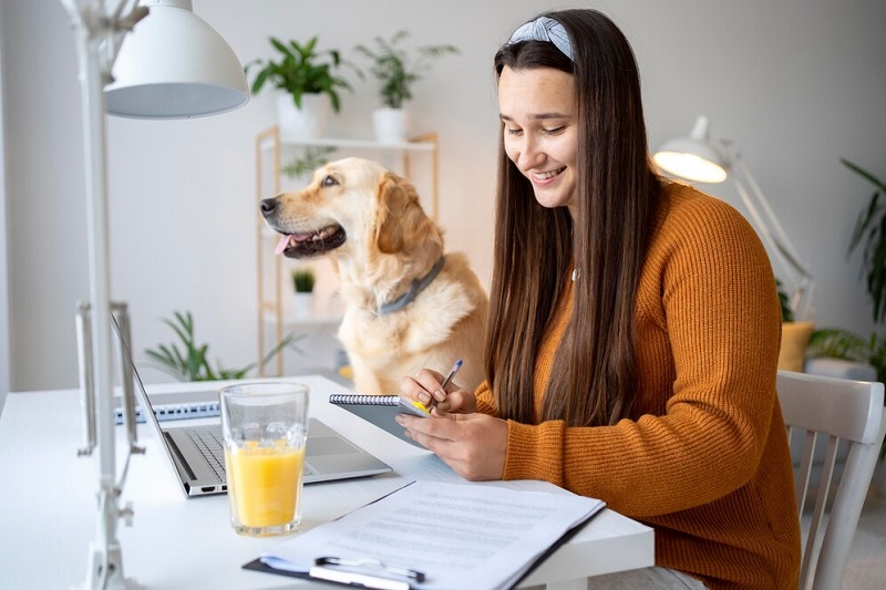 affordable pet insurance fort pierce